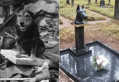За что в Армении поставили памятник обычной собаке-дворняжке? Рассказываем