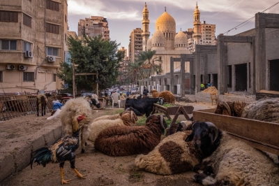 Египет, который вы не видели. Трущобы Александрии и арабская весна