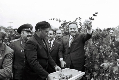 Что стало с азербайджанскими виноградниками, которые велел срубить Горбачев?